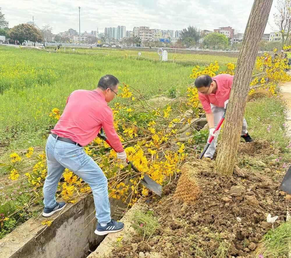 凤凰联盟官网广州白云南村村：种下160株树苗为“百千万工程”添“绿”赋能(图2)