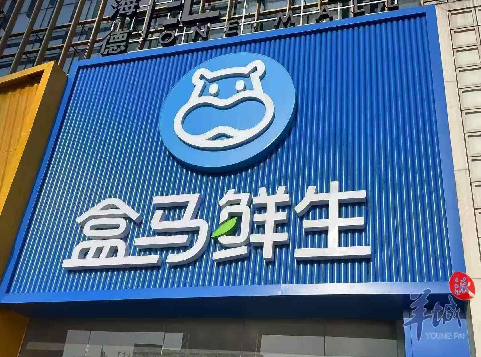 盒马搁置会员店扩张并非退场，做大生鲜店和社区店才是正途 