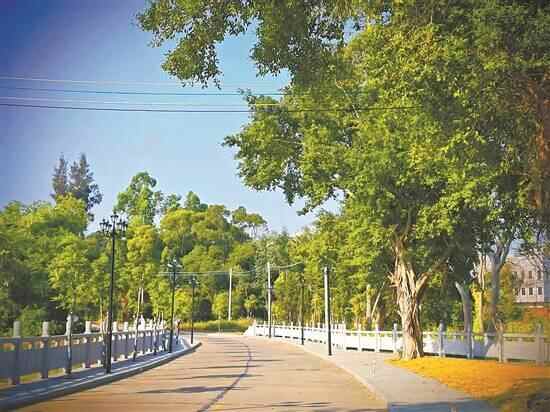 吴川市黄坡镇唐禄村“百千万工程”典型村建设侧记 