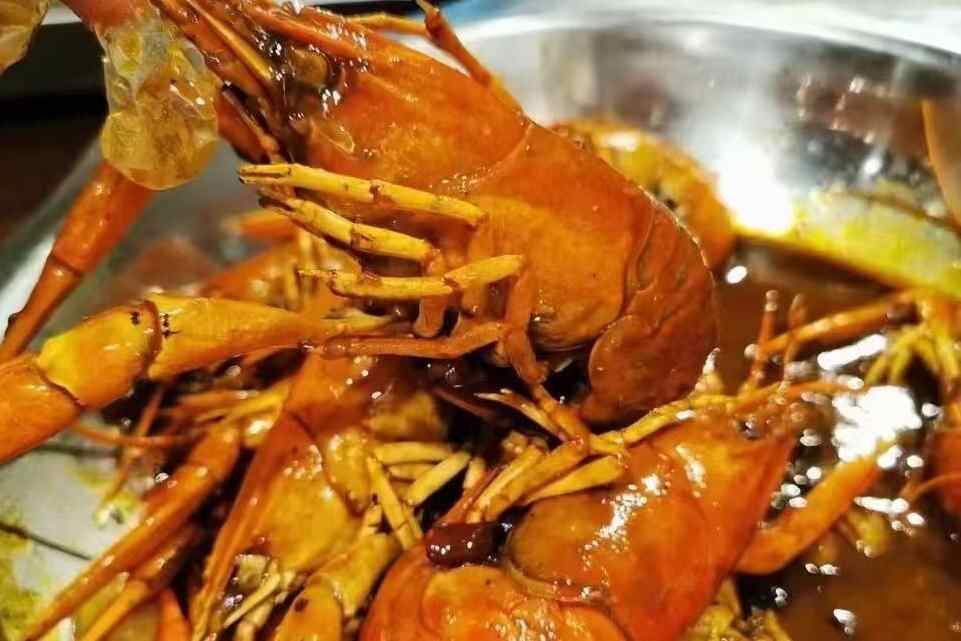 鱼眼观察 | 澳洲蓝龙虾“下海”夜宵市场 “螯战”传统小龙虾