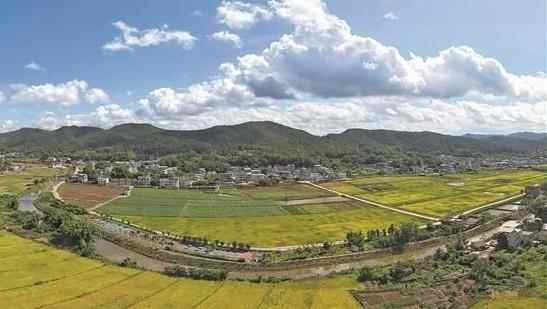 梅县推进土地整治 助力“百千万工程” 