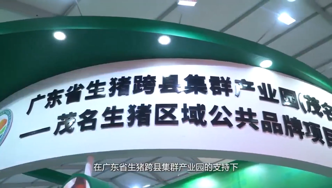 彰显“食”力，茂名生猪惊艳武汉预博会