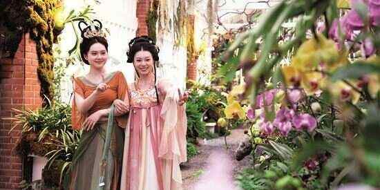 游兰圃赛蹴鞠 “兰缘盛荟”为花城添雅韵