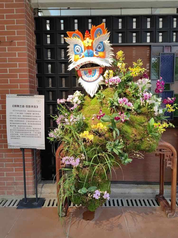 从金奖兰花风景到AI液体画，“五一”广州兰花花