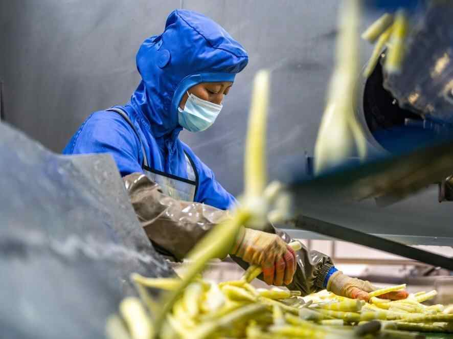  云南盐津： 小竹子做成大产业