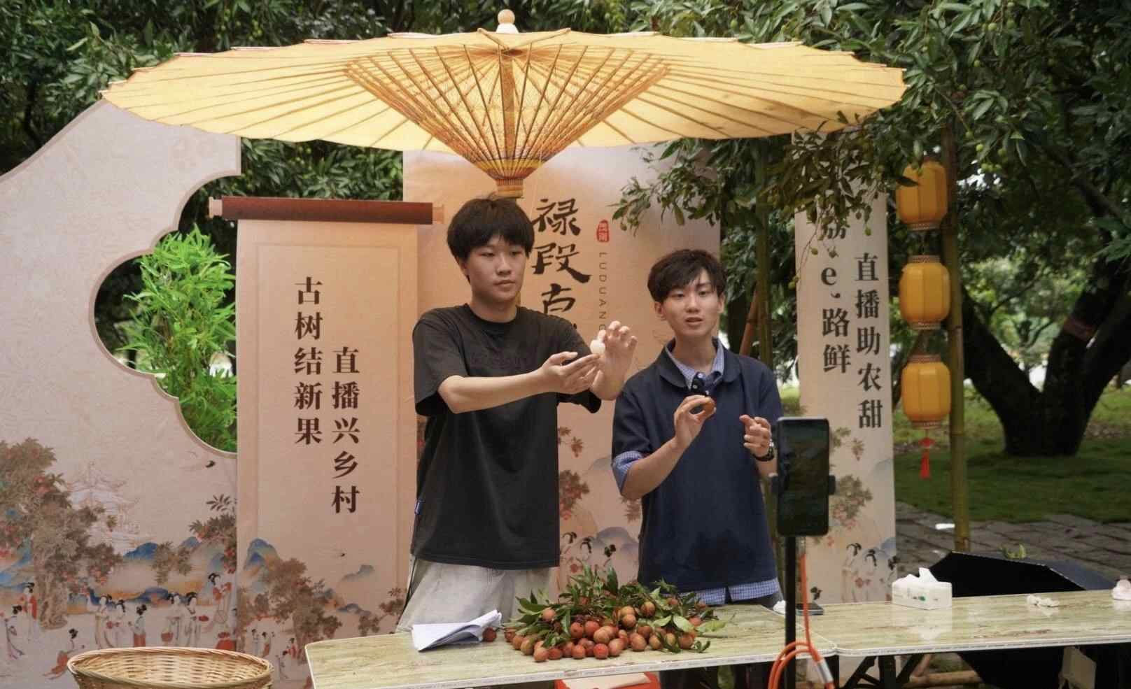 茂名荔枝抢“鲜”看②：直播变农活  让“新鲜”跨越山海传播