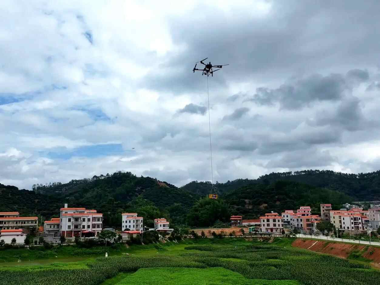 隆林lychees采取了“新鲜度”③：交通变成农业投