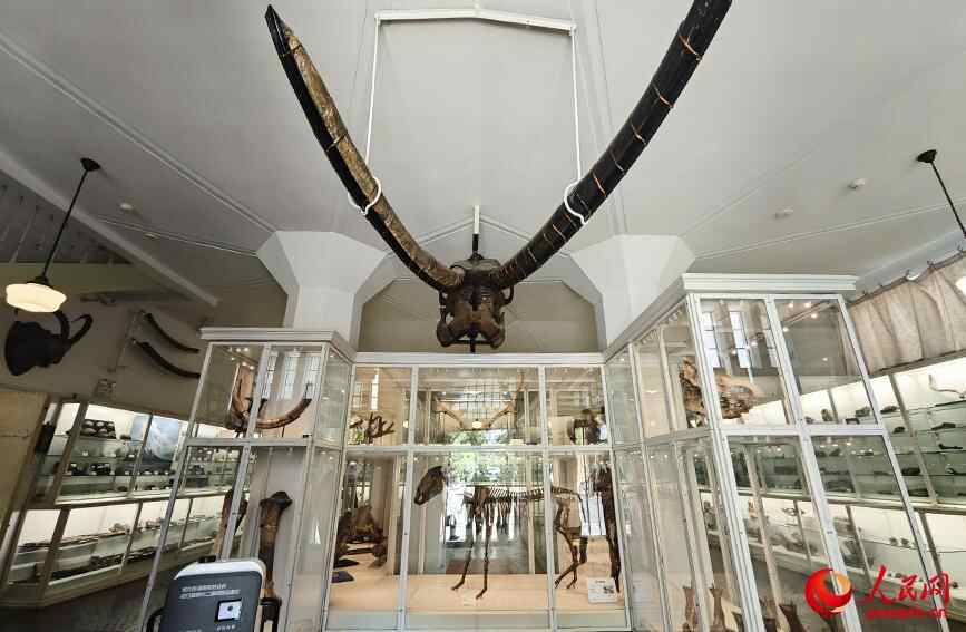 国际博物馆日｜天津（Tianjin）有利基博物馆（