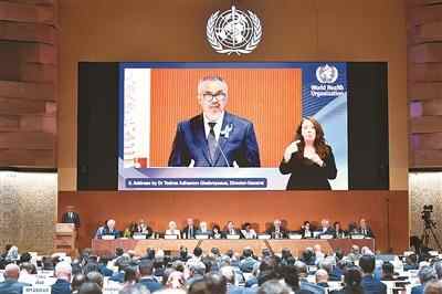 专注于全球健康并共同开发一个保护网络（全球