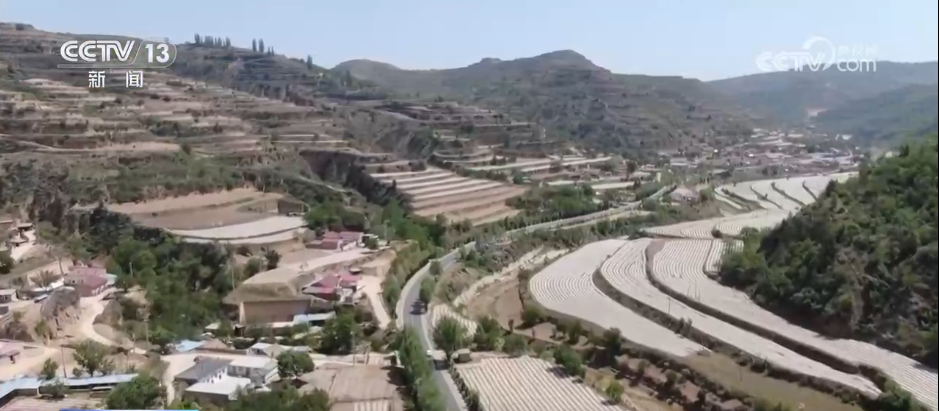 “单独避免和控制 + tumb服务”所有地区都在积极