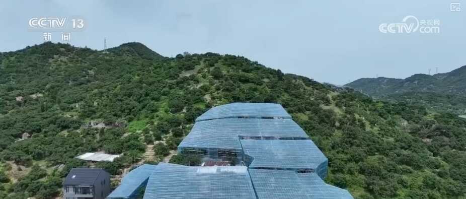 从“单独战斗”到“双赢”和“发展”行业特征