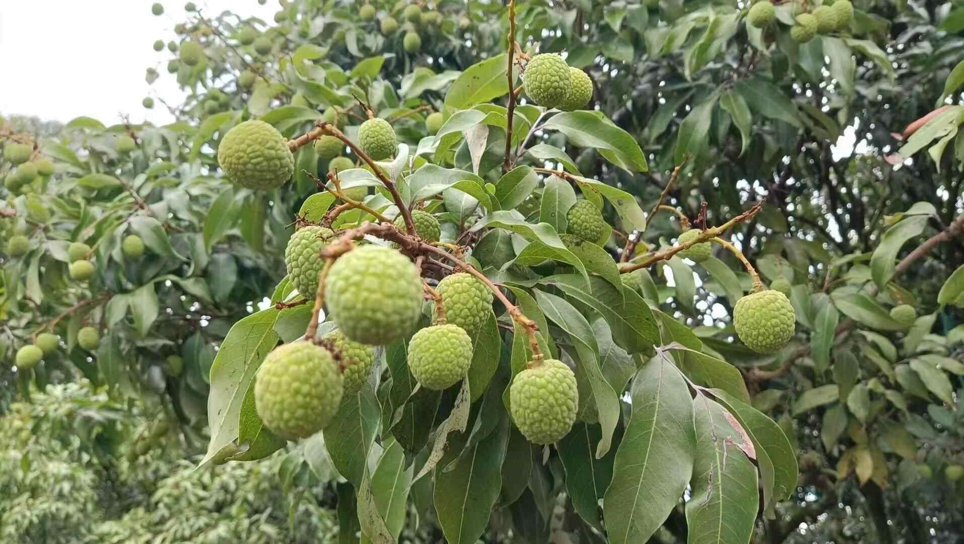 卖之前卖！欢迎广东刑事生产区，来自全国各地