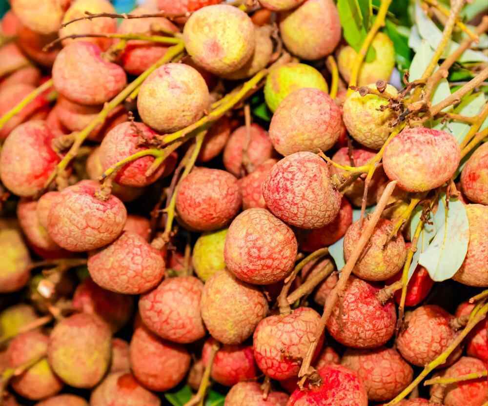 广东荔枝季来了！今年包甜！管够！