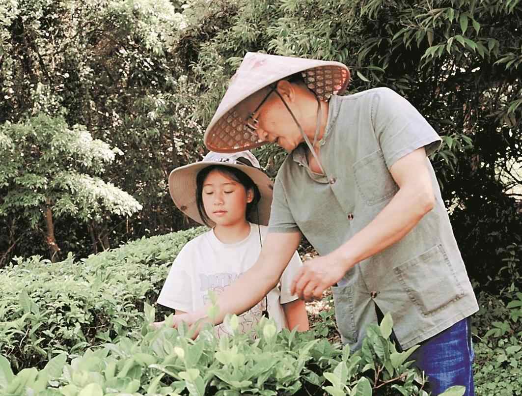 青山镌刻万亩造林史 绿林蕴藏产业致富经