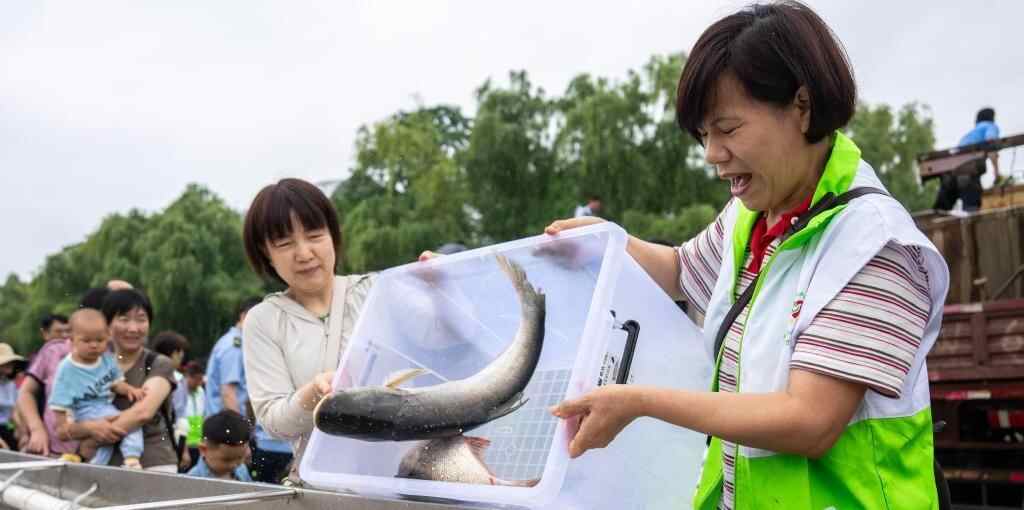  湖南开展水生生物增殖放流活动