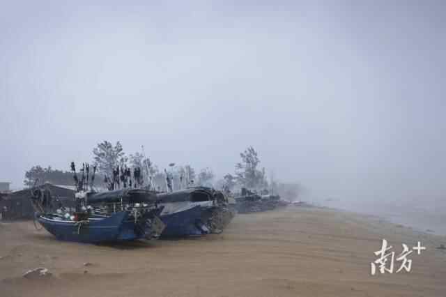 广东编织台风预防网络以“捕捉”和“蝴蝶”