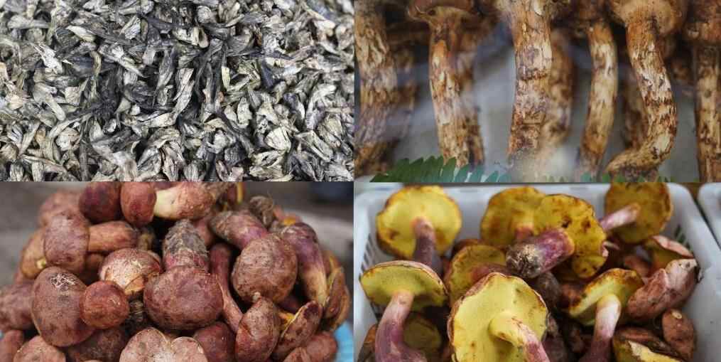  云南昆明：野生菌大量上市