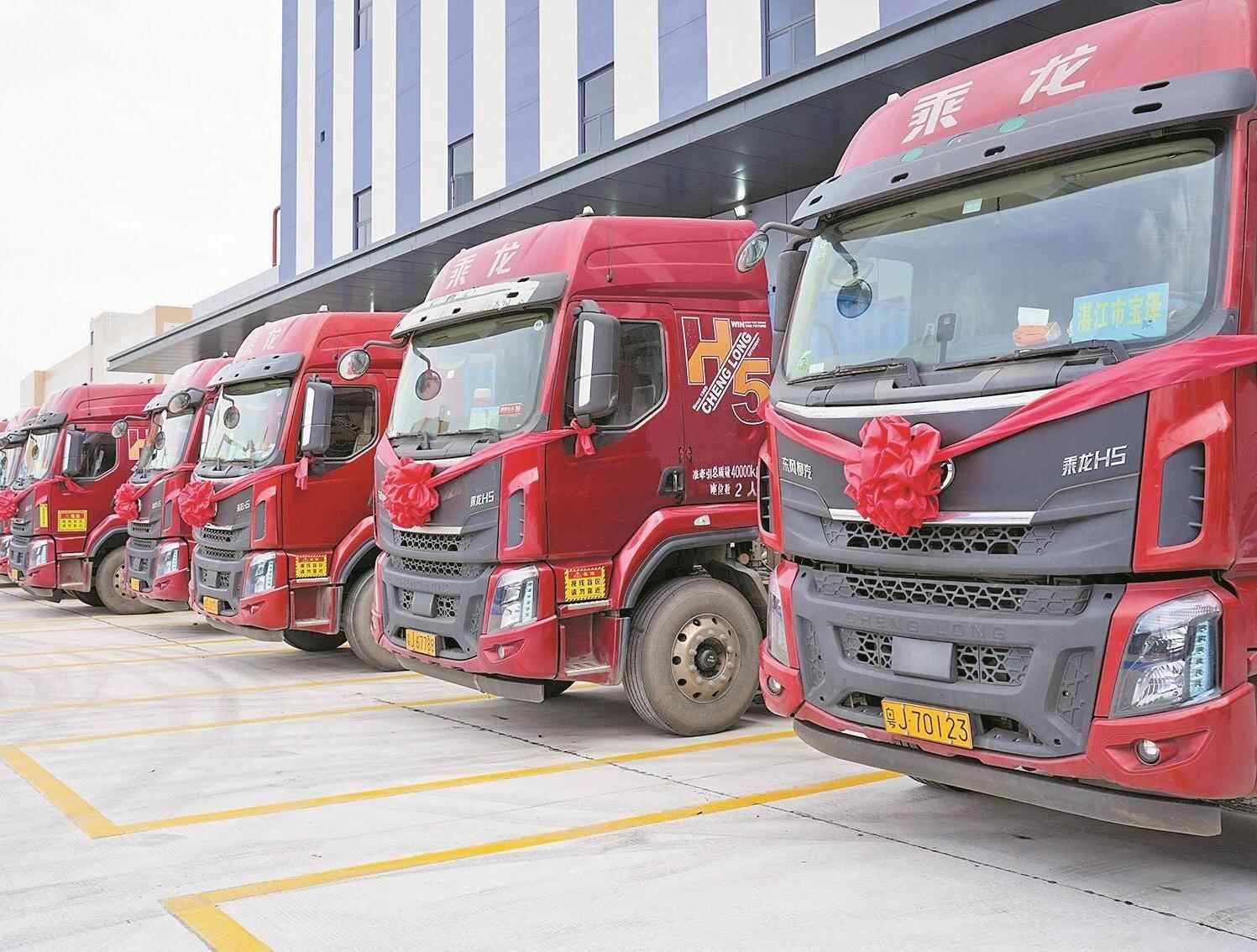 粤西最大智慧冷链枢纽启用 助力世界水产走向全国