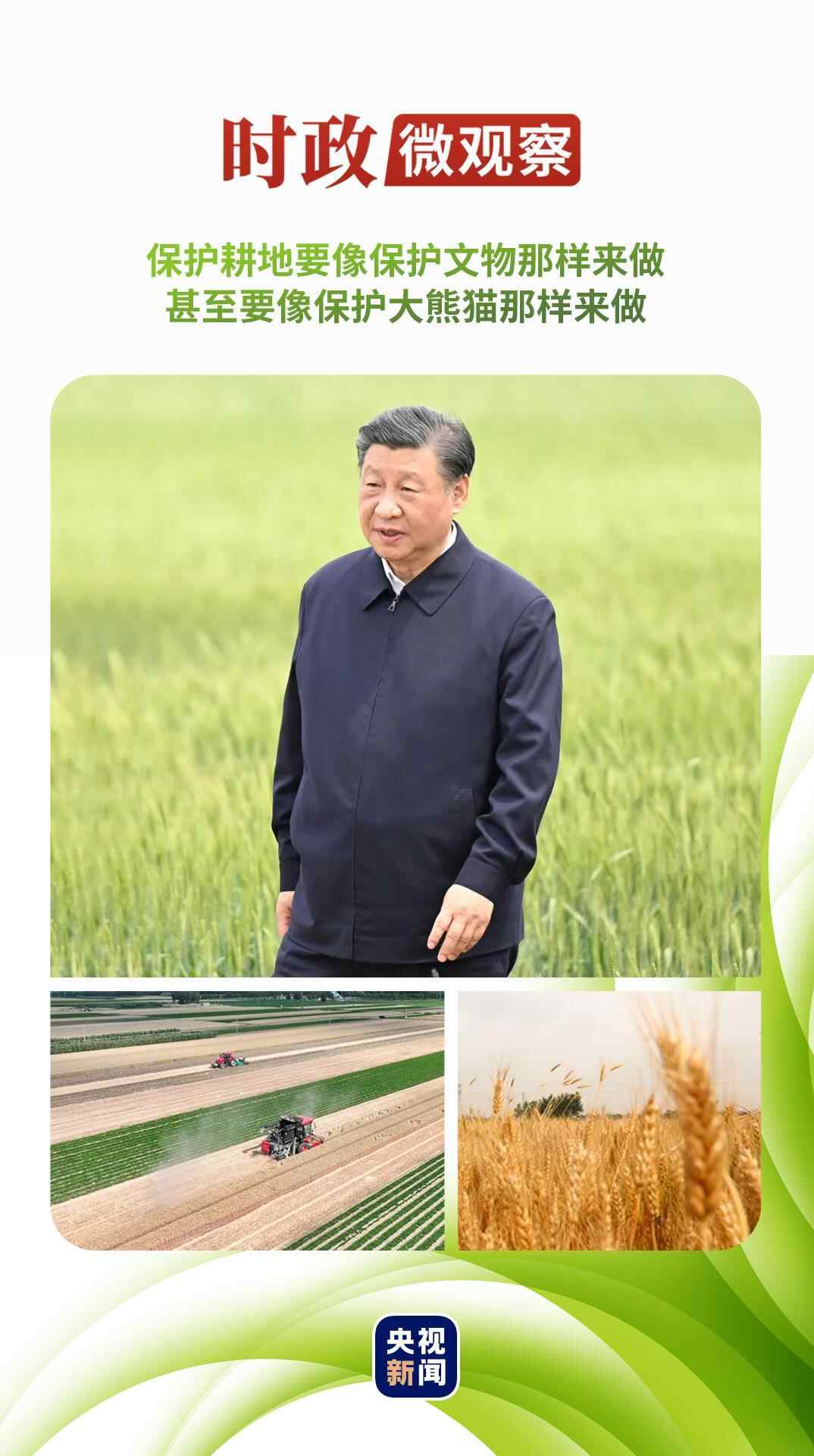 当前的微观观察丨首先观看耕地保护的红线，总