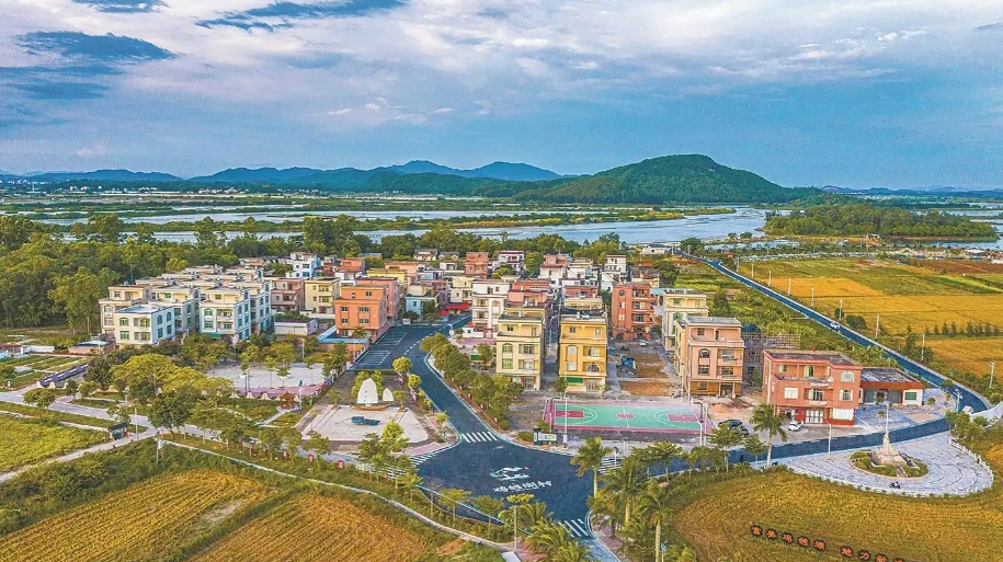 阳江：党建赋能“百千万” 绘就乡村新图景 