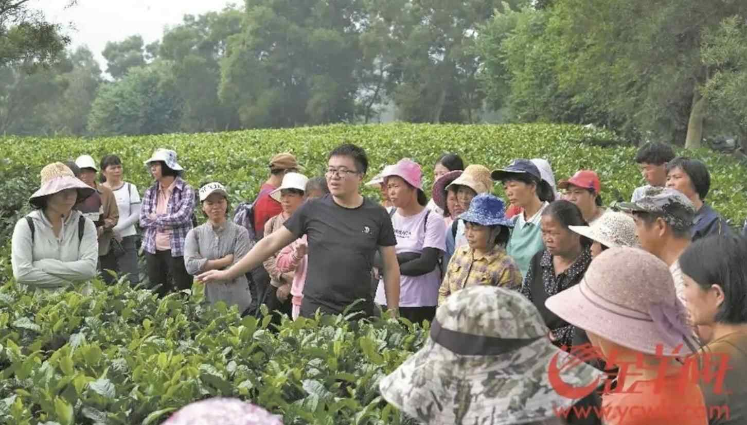 广东省科技厅：科技赋能“百千万工程” 广东农业跑出创新加速度 