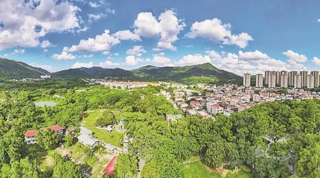 中山：“百千万工程”重塑湾区西岸活力之城 