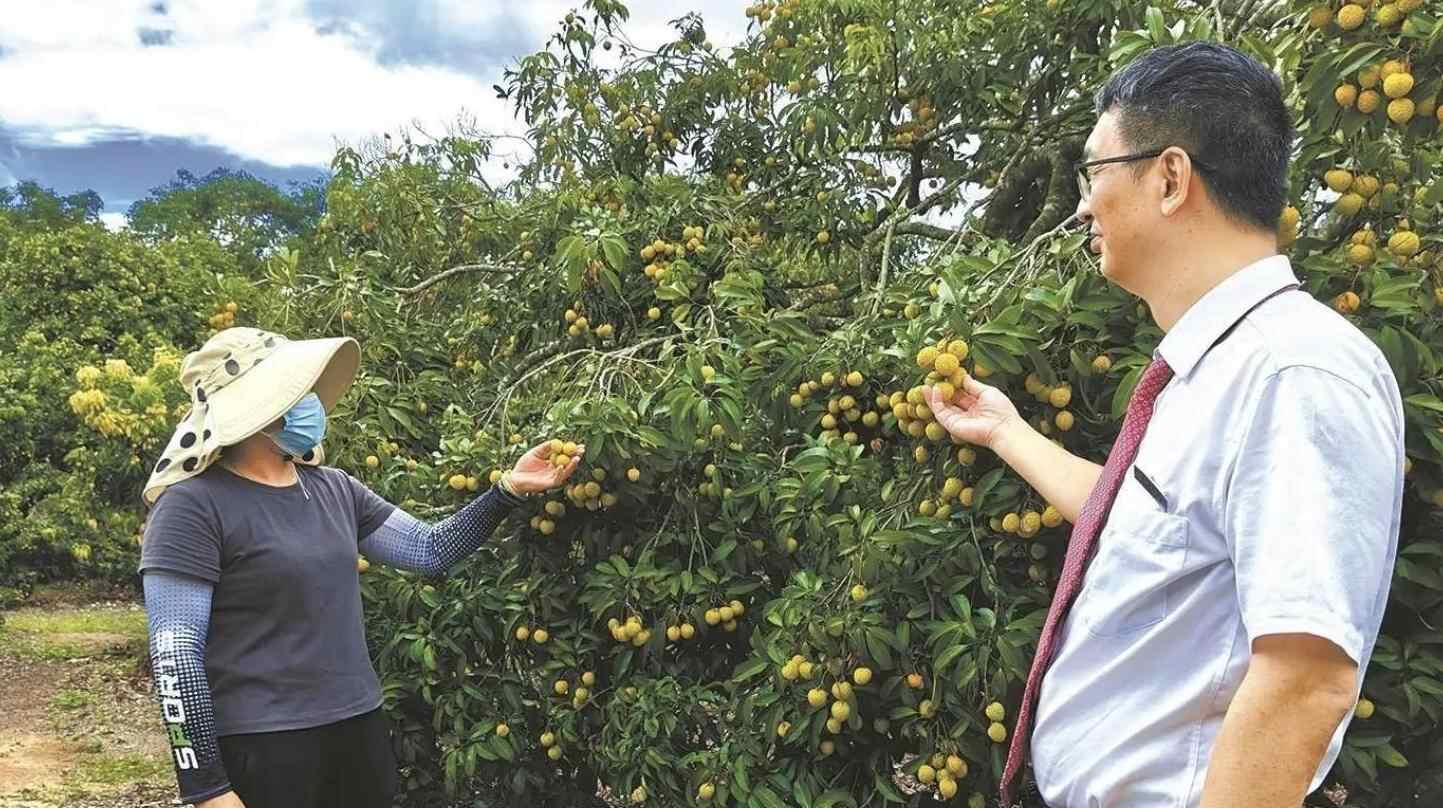 广东中行：党建引领金融活水赋能绘就乡村振兴新图景 