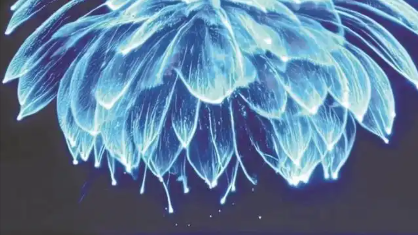 携程创新基金公布全球百大提名案例 平均带动目的地订单涨51% 