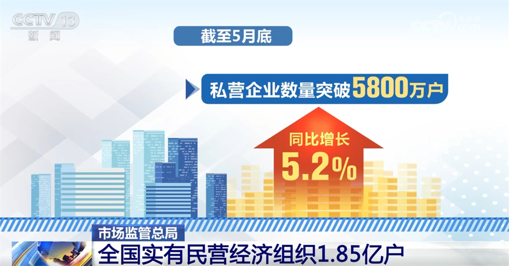 私人企业和拥有企业的个人已成为“双机器”，