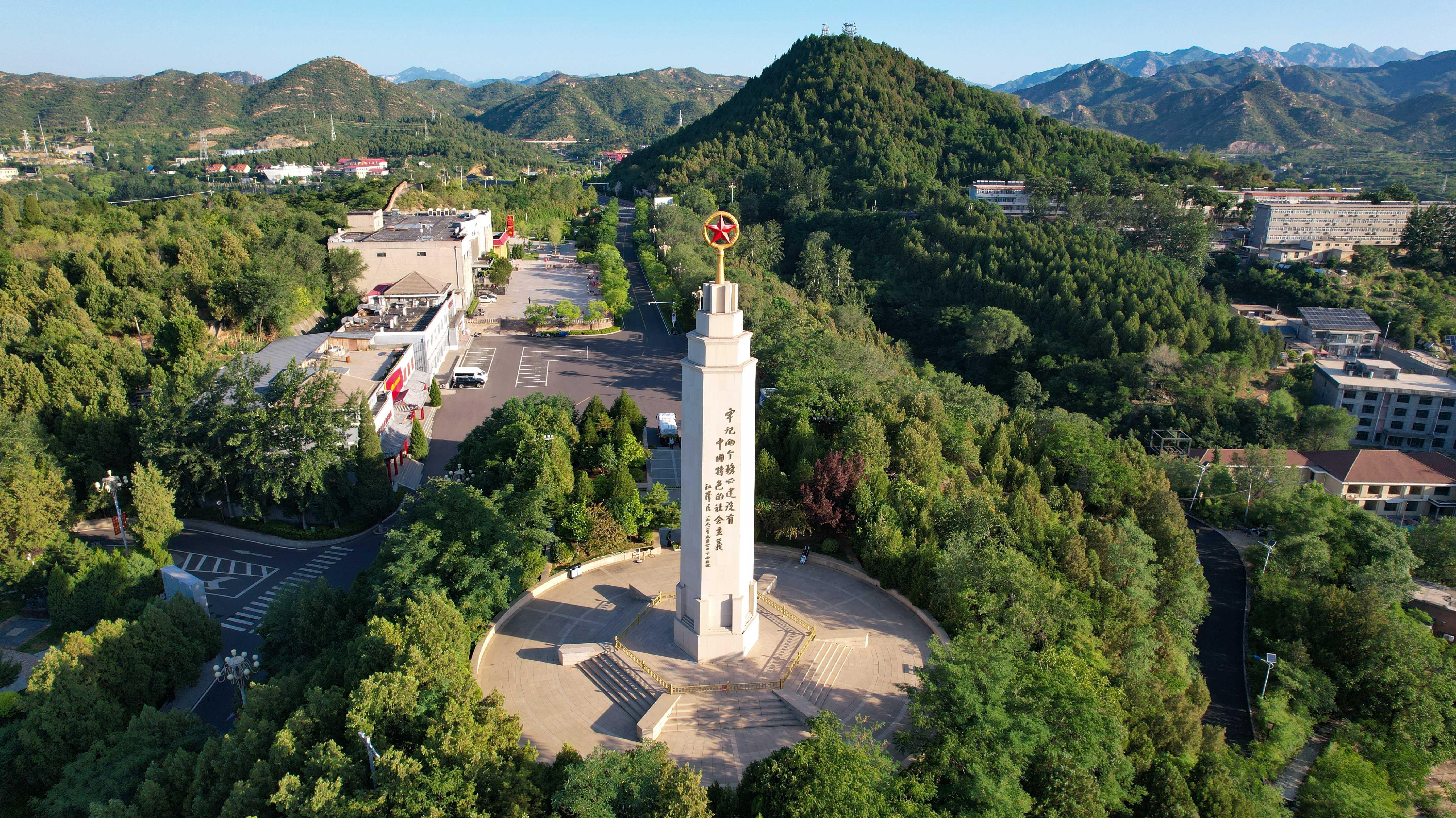 时政微观察丨砥柱中流 风华正茂