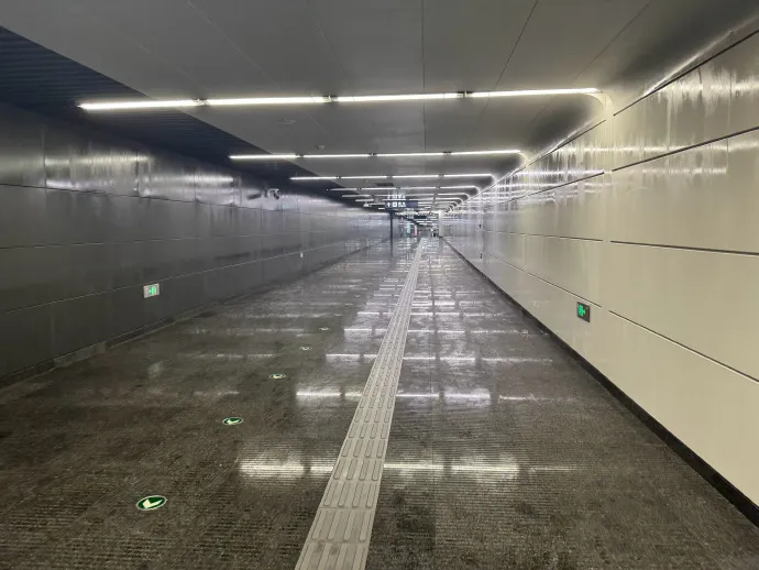 目前，北方人知道“回到南方”的感觉...