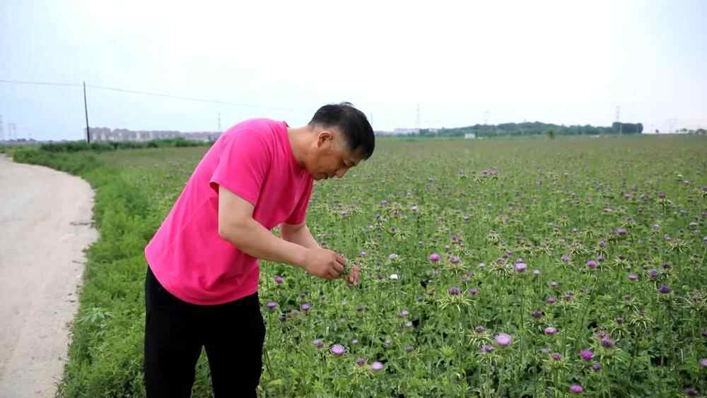 新华社的观点｜追逐梦想和肥沃的领域来探索人