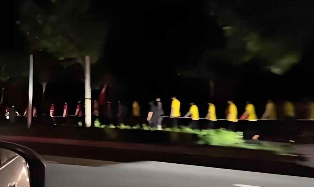 Zibo的一个令人惊叹的地方回应“在清晨蒙住眼睛