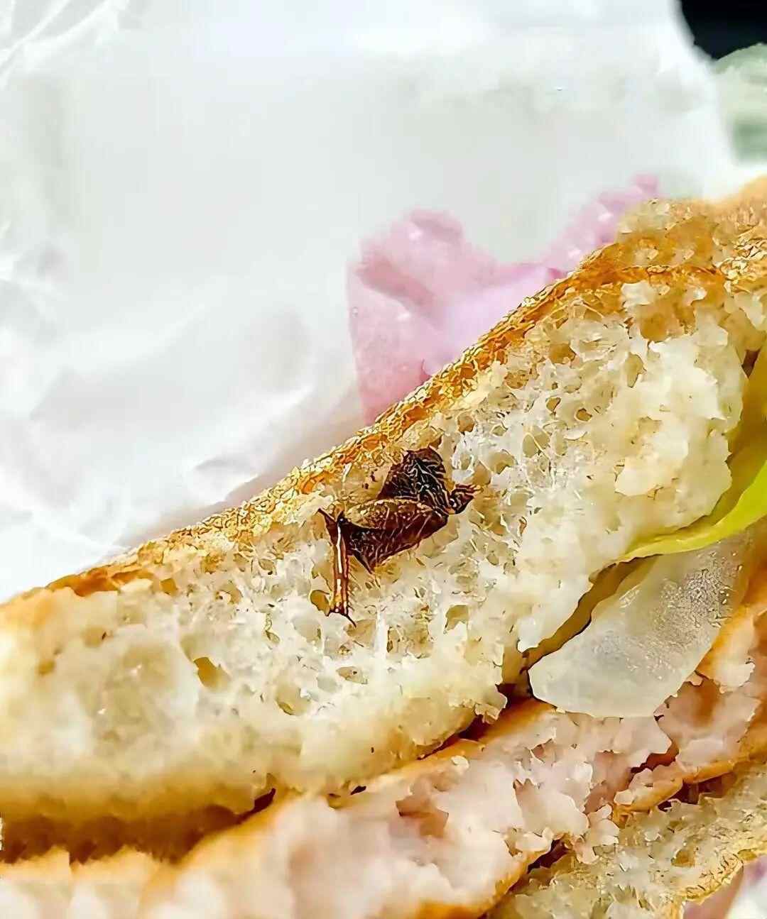 广州公民说，他们在快餐中吃了一半的蟑螂，“