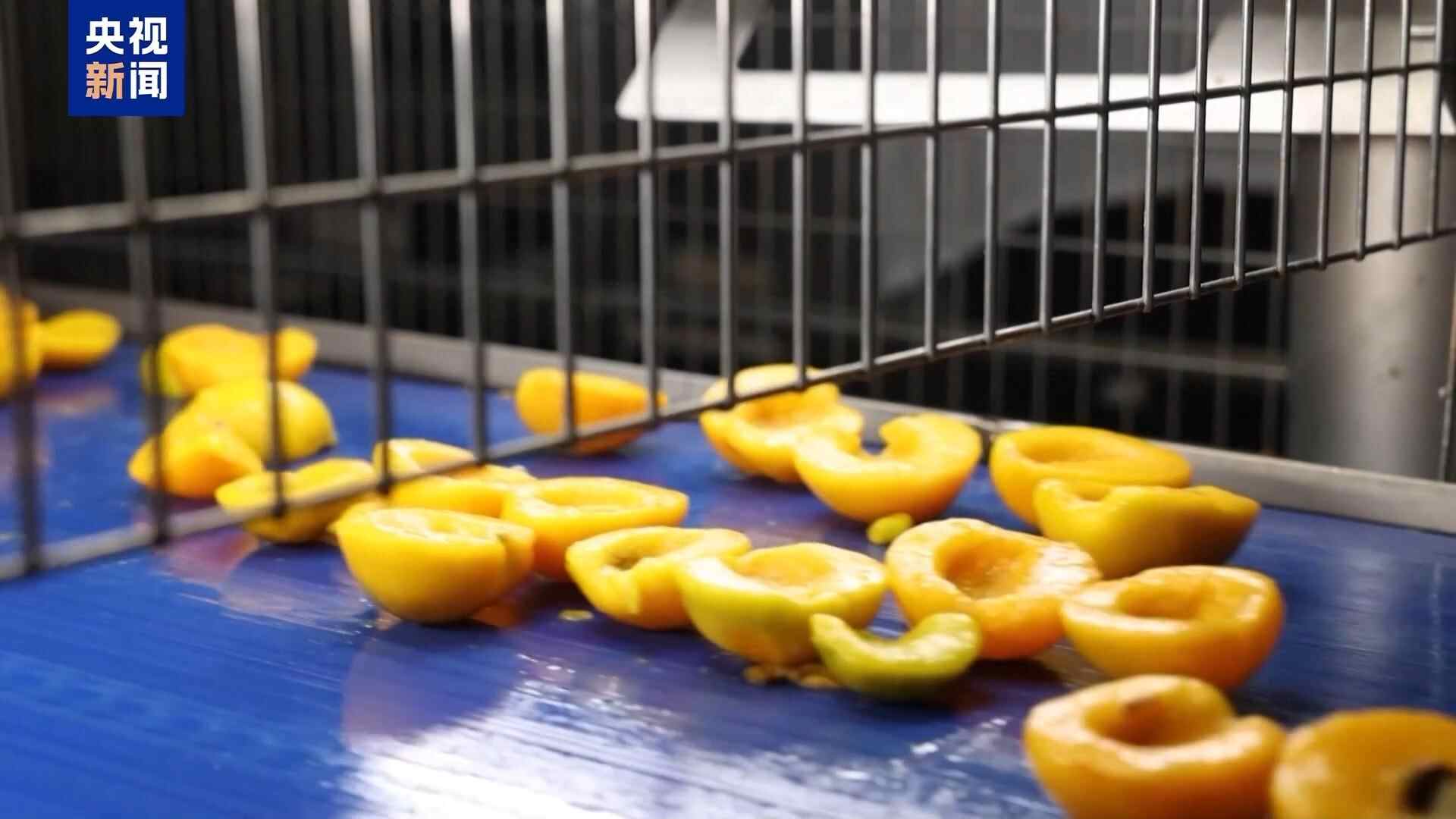 美国征收30％的关税并进入倒计时，欧洲水果农商