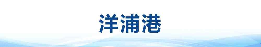遵循总书记的脚步，“查看”了海南自由贸易港