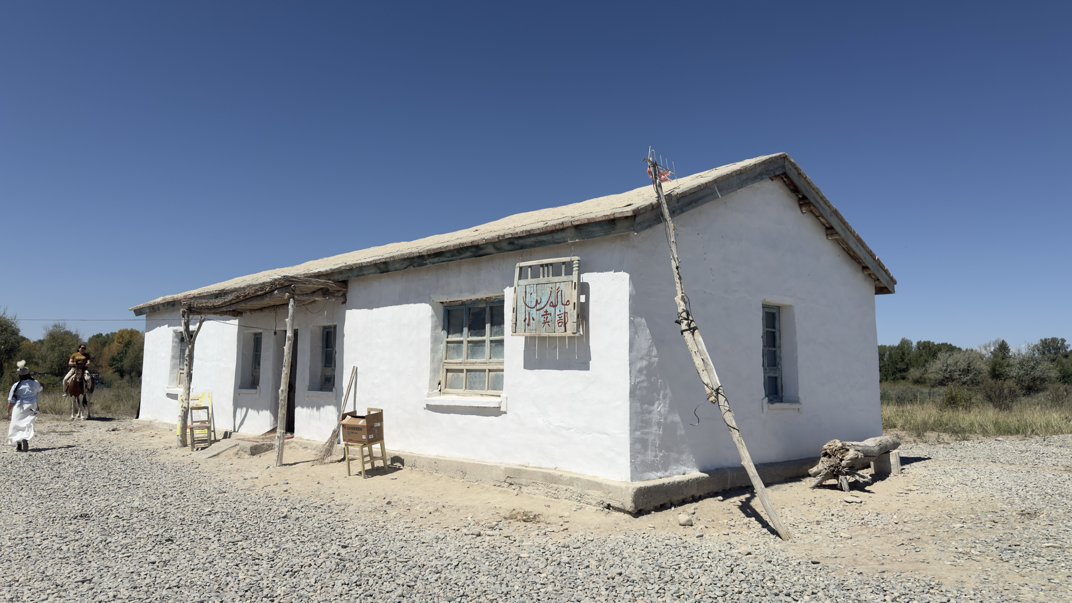 石榴花朵盛开，种子是团结的|从“名望”到“长