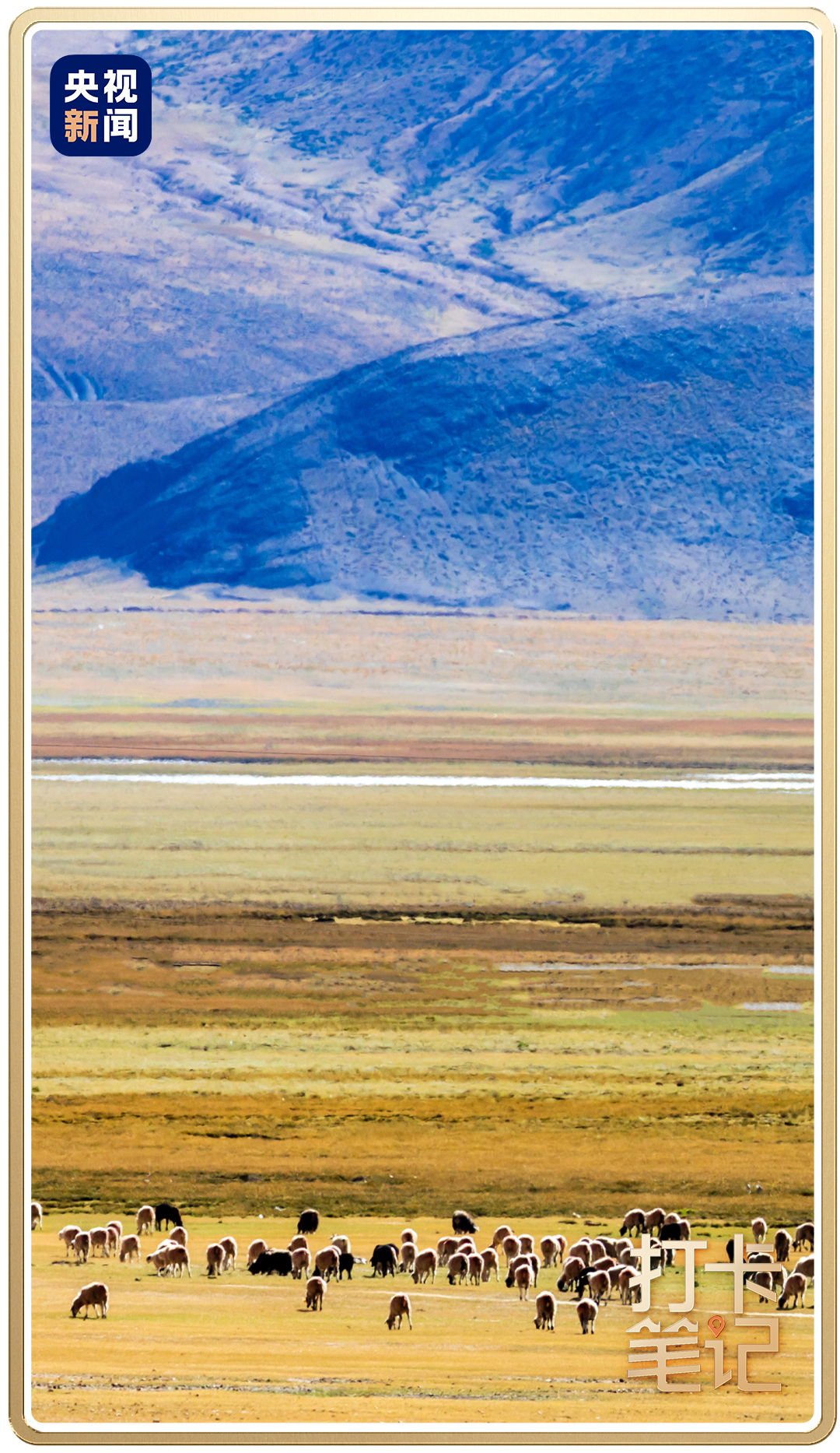 当您去西藏时，应该去香南！