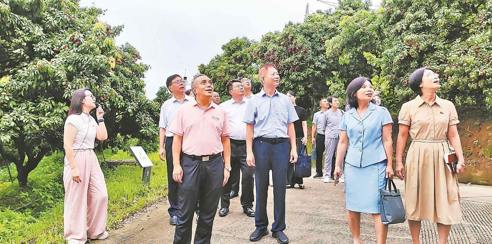  擦亮“穗农”金字招牌 “点绿成金”撬动乡村振兴