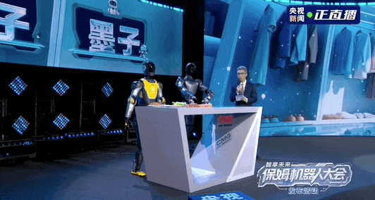 您想知道的关于保姆机器人的只是这里