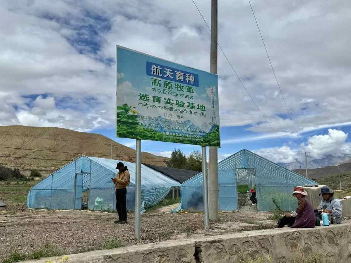 60年的光荣·我们的家| “上帝的种子”在西藏做