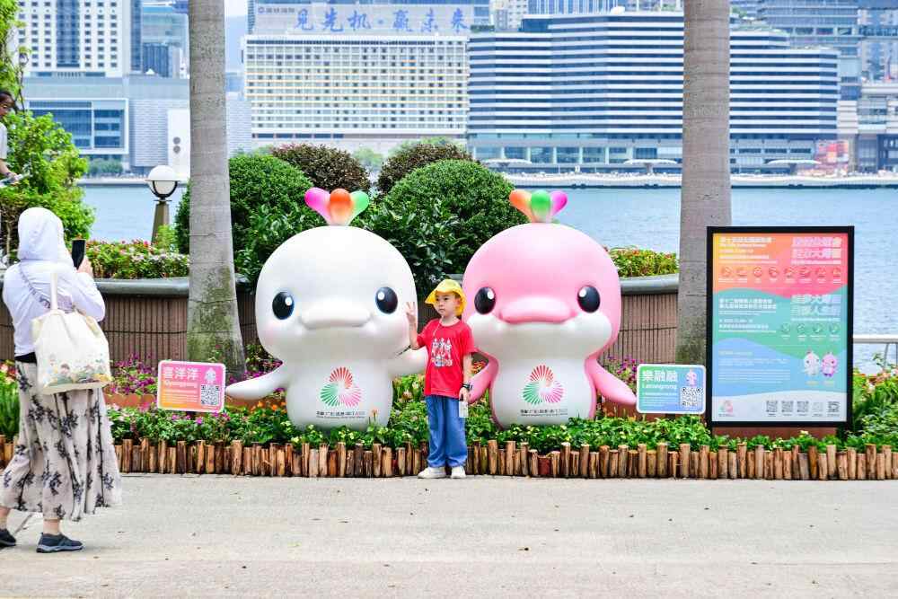 湾区正在共同努力并期待中国 - 在第15届全国比赛