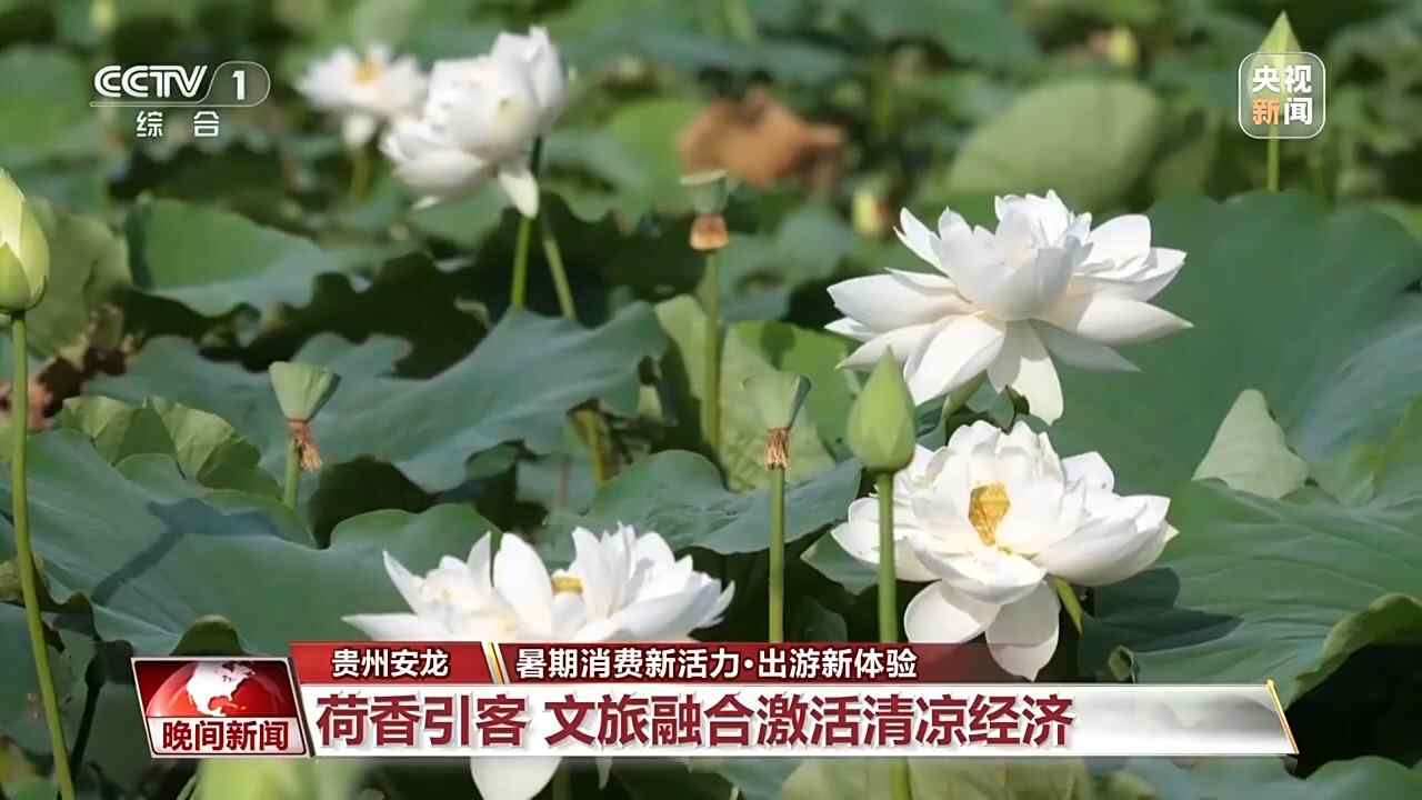 凉爽而富有！这里有一个更有趣，更有趣的“夏