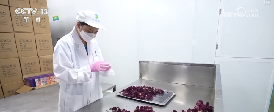 年轻人担任“新工作”和“新工作”反映了经济