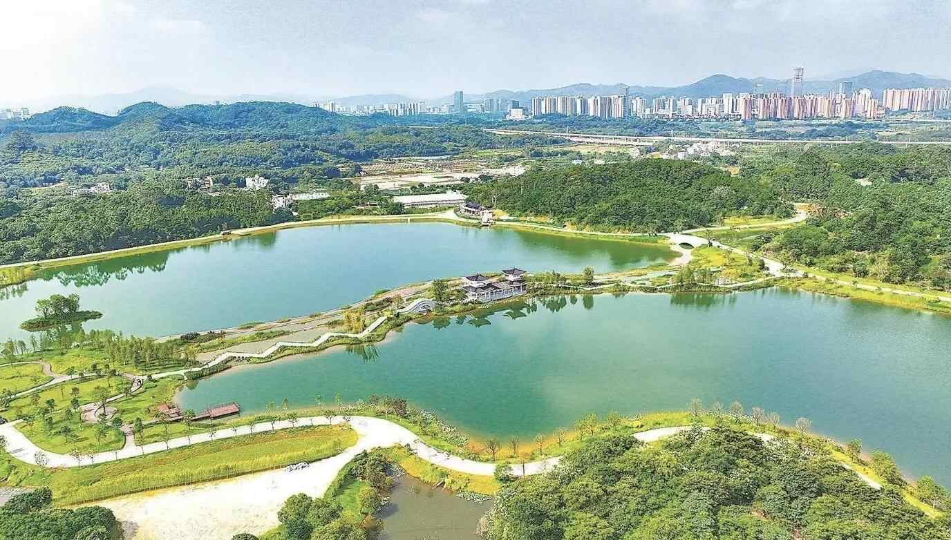 黄埔：“黄埔云帆”掀热潮 共赴千年海丝之约 