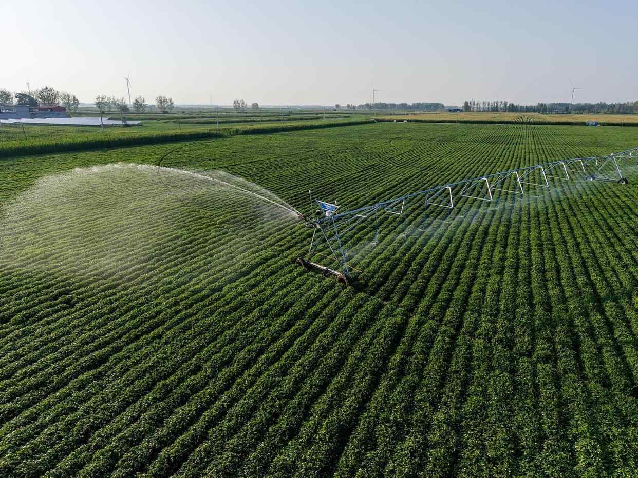 河南继续高温，农民在清晨到达井，在地面上“