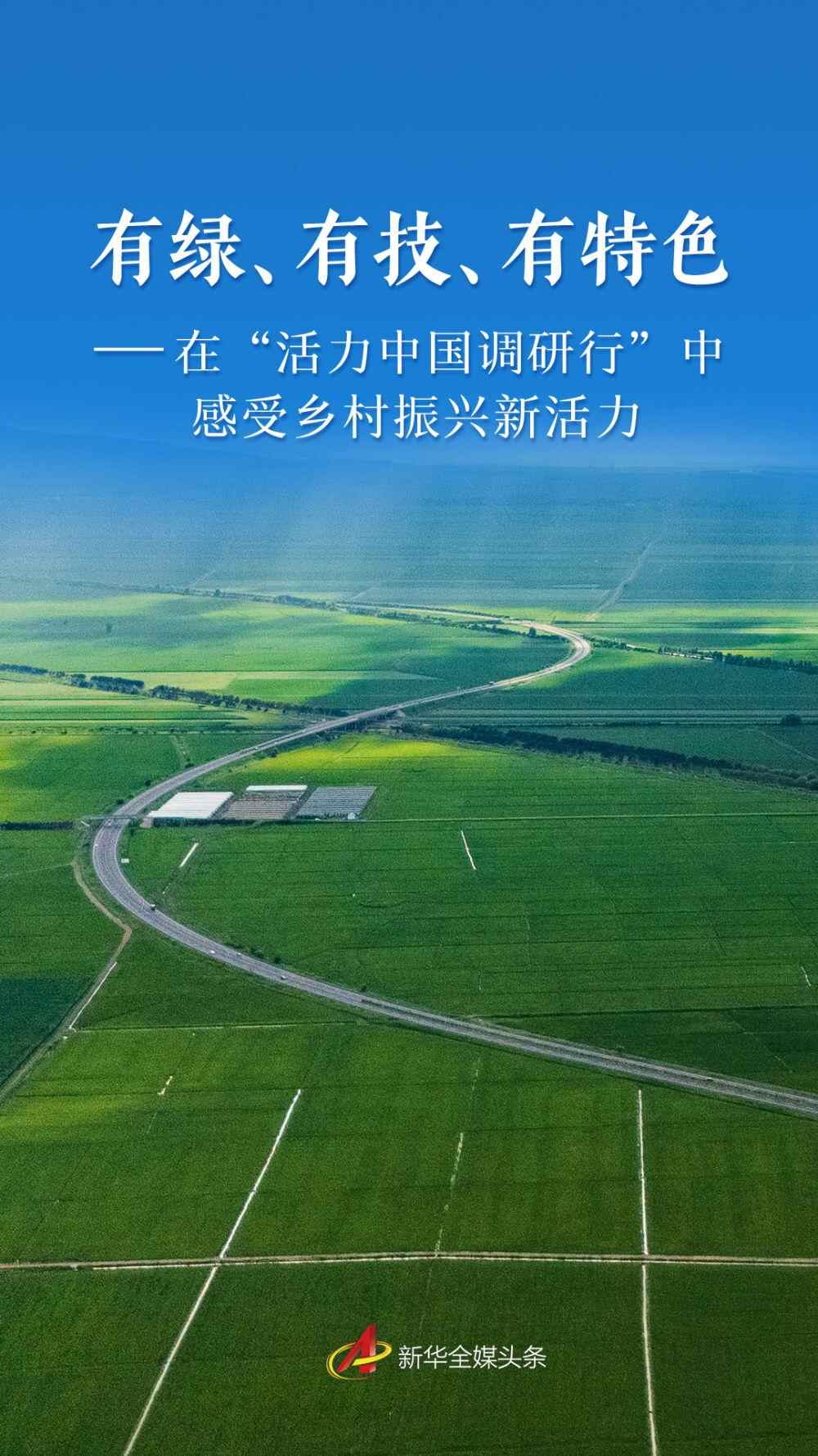 绿色，习惯和独特 - 在“暴力中国研究之旅”中