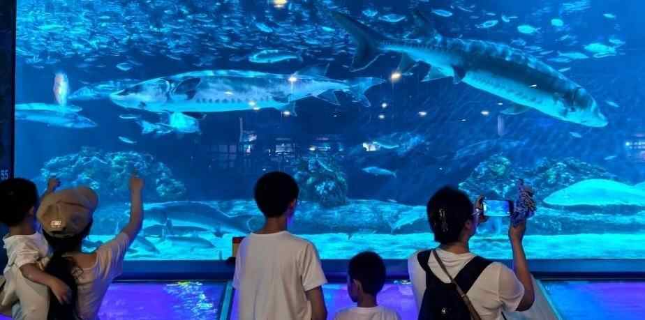  北京：小朋友畅游海洋世界 享快乐暑假