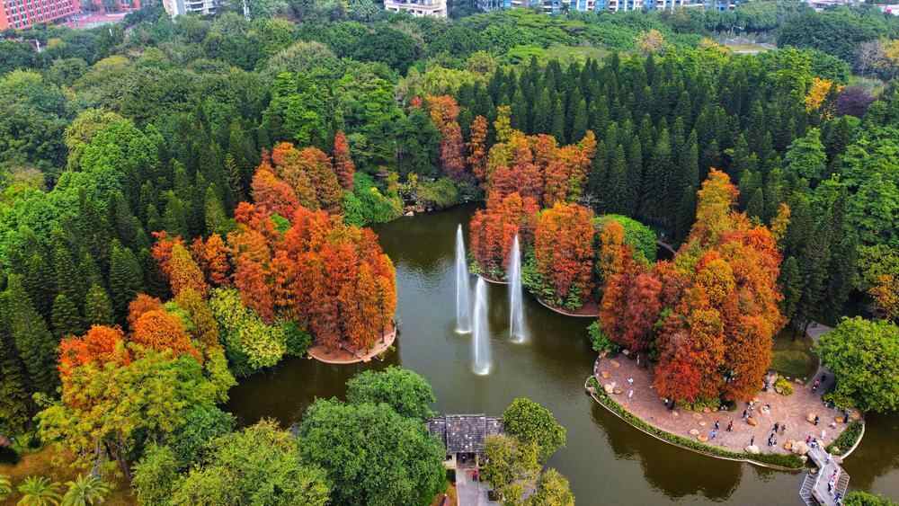 文化铸魂：广州珠江公园“公园+”活动点亮城市活力