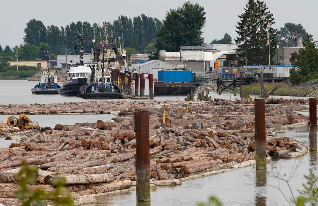 国际观察丨美国已经发生了“互惠关税”，经济